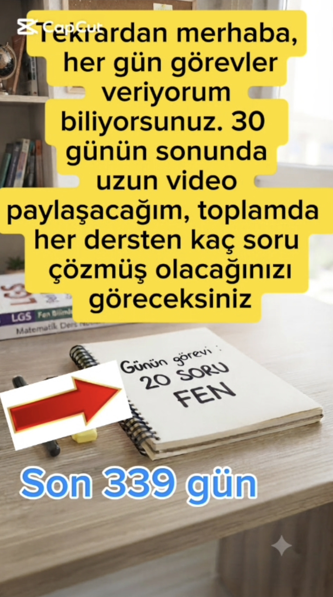 Son 339 Gün